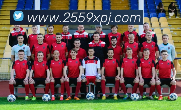 奖项图1